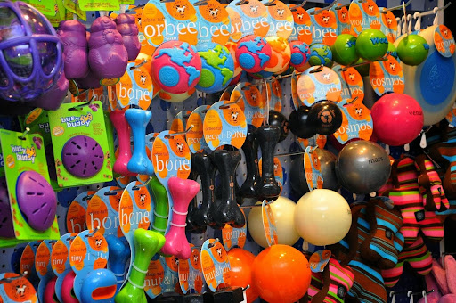 Pet Store «Super Dogs & Cats», reviews and photos, 380 Elm St, Biddeford, ME 04005, USA