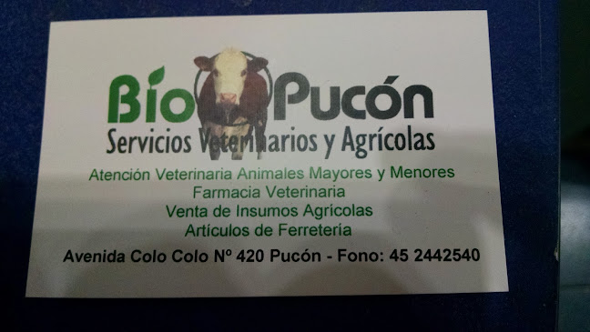 Opiniones de BIOPUCON, Servicios veterinarios y Agrícolas en Pucón - Veterinario