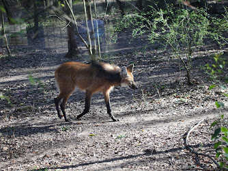 Alexandria Zoological Park