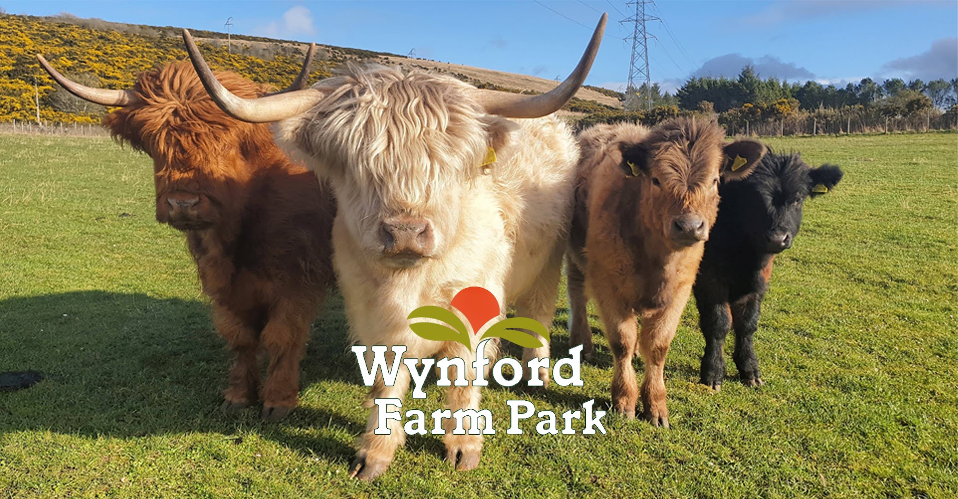 Wynford Farm Park