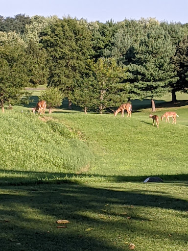 Public Golf Course «Clustered Spires Golf Club», reviews and photos, 8415 Gas House Pike, Frederick, MD 21701, USA