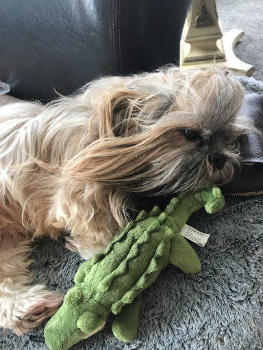 Pet Supply Store «Mud Bay», reviews and photos, 7807 SW Nyberg St d110, Tualatin, OR 97062, USA