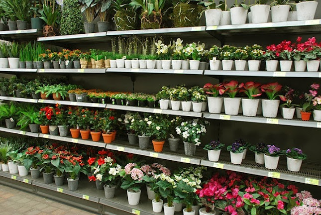 Oh'Green - Tuincentrum