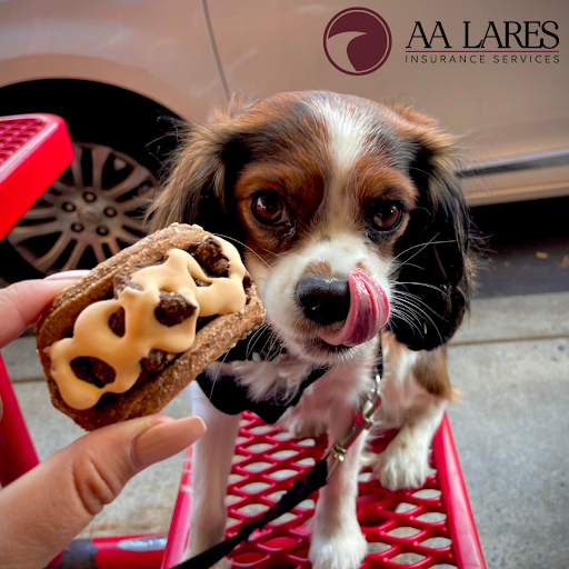 Auto Insurance Agency «AA Lares Insurance Services, Inc.», reviews and photos