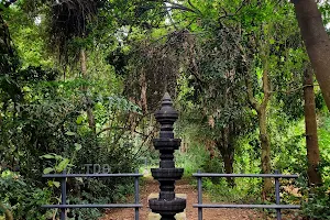 Iringole Kavu image