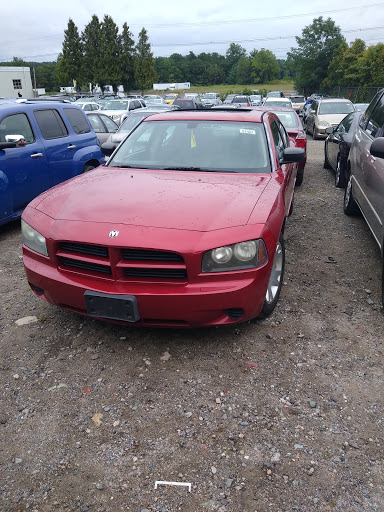 Charity «Helping Hands of America», reviews and photos