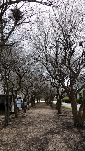 Fountain «Buckingham Fountain», reviews and photos, 301 S Columbus Dr, Chicago, IL 60605, USA