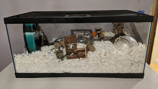 Pet Supply Store «PetSmart», reviews and photos, 2216 E Springs Dr, Madison, WI 53704, USA