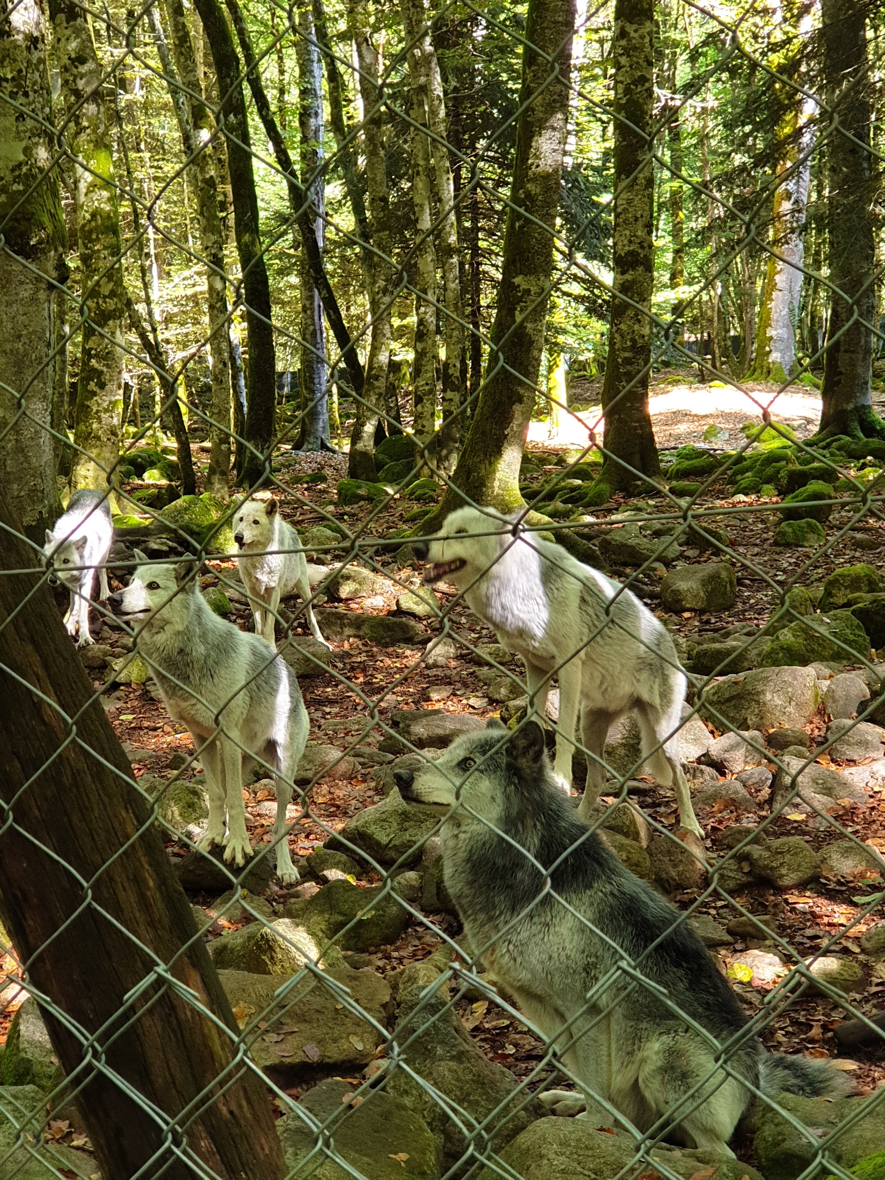 Photo n° 2 de l'avis de Sarah.h fait le 16/09/2020 à 12:45