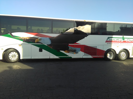 Bus and coach company El Monte