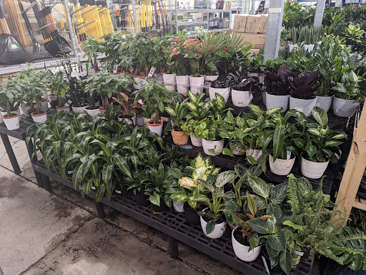 Department Store «Walmart Supercenter», reviews and photos, 33 Sherwood Dr, Tilton, NH 03276, USA