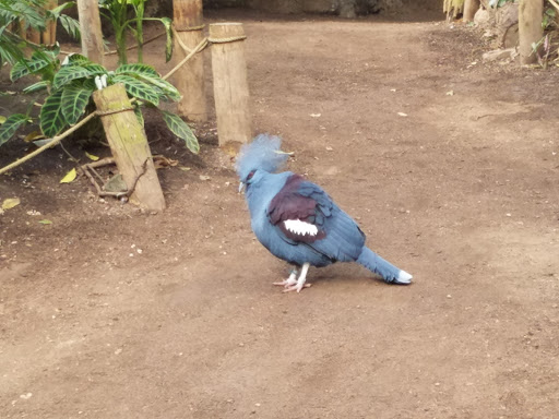 Foundation «The Henry Doorly Zoo», reviews and photos, 3701 S 10th St, Omaha, NE 68107, USA