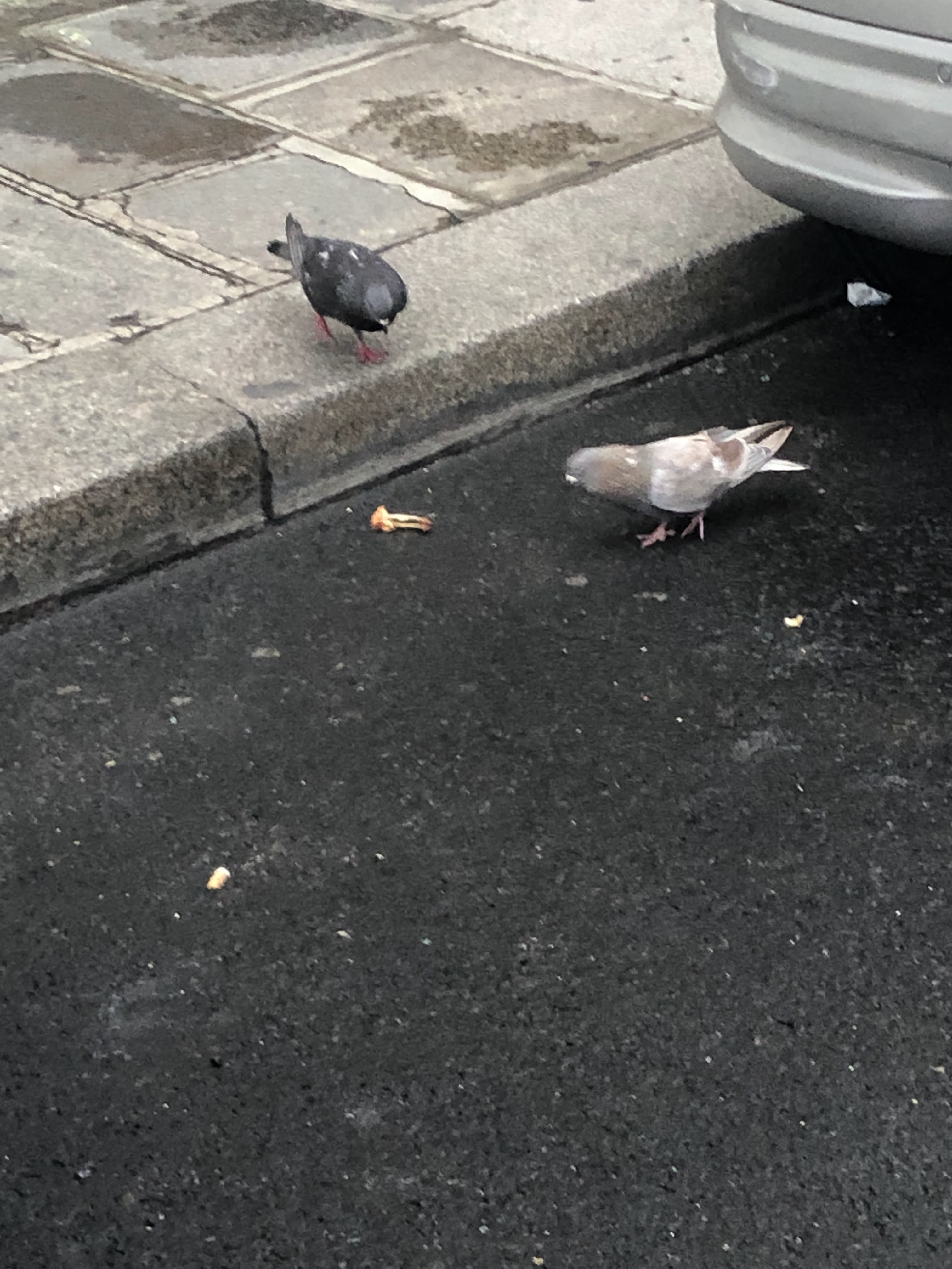 Photo n° 3 de l'avis de Alian.m fait le 01/09/2019 à 02:40