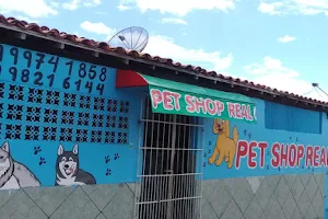 Pet Shop Real image