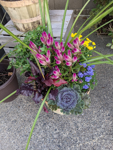 Florist «Given-Erwin Florist», reviews and photos, 328 Cambridge St, Burlington, MA 01803, USA