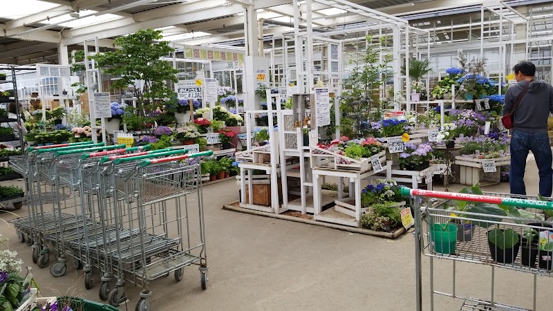 ジョイフル本田 幸手店 ガーデンセンター 埼玉県幸手市上高野 園芸センター グルコミ