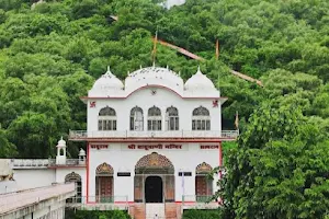 Dadu Palka Dham Bichoon image