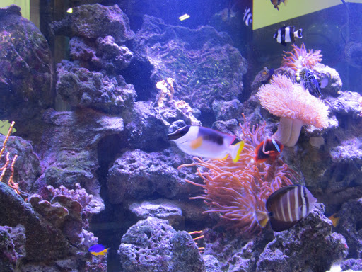 Recreation Center «Planet Air Sports», reviews and photos, 1401 Green Rd, Pompano Beach, FL 33064, USA