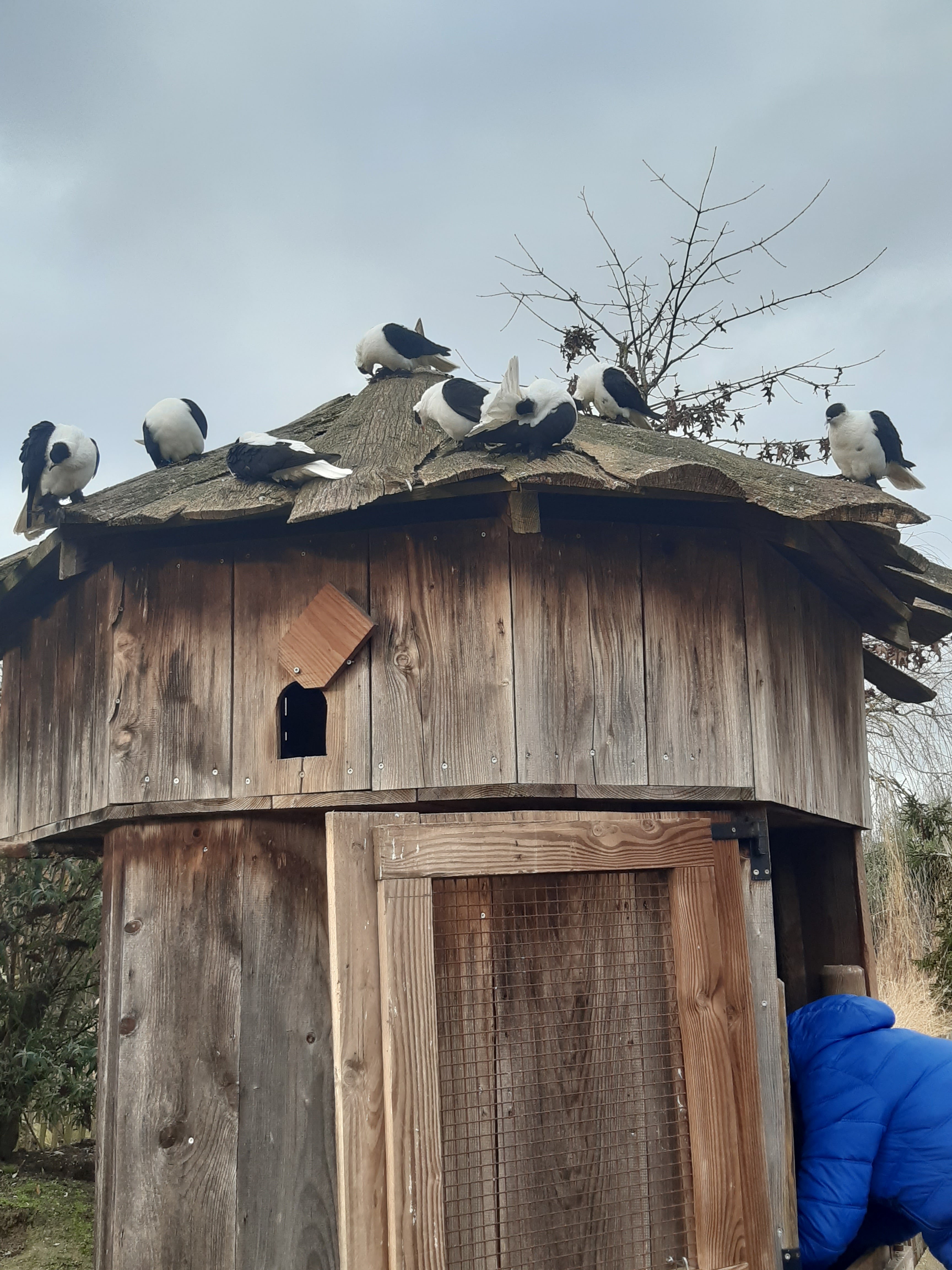 Photo n° 19 de l'avis de Christophe.r fait le 30/12/2023 à 17:40