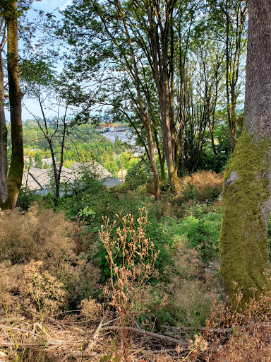 Park «Lewis Park», reviews and photos, 1120 15th Ave S, Seattle, WA 98144, USA