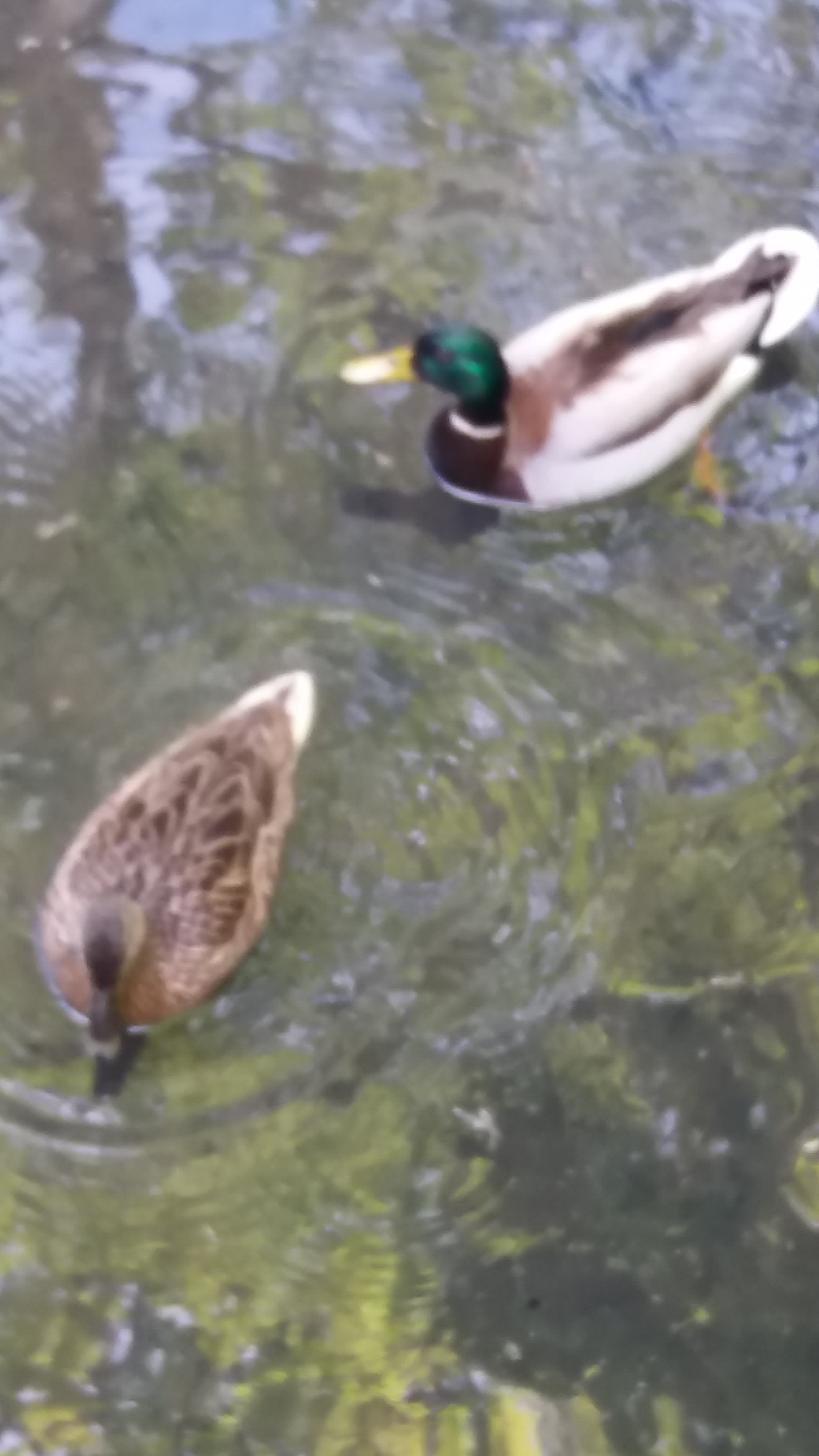 Photo n° 1 de l'avis de Jose.o fait le 22/05/2019 à 12:28