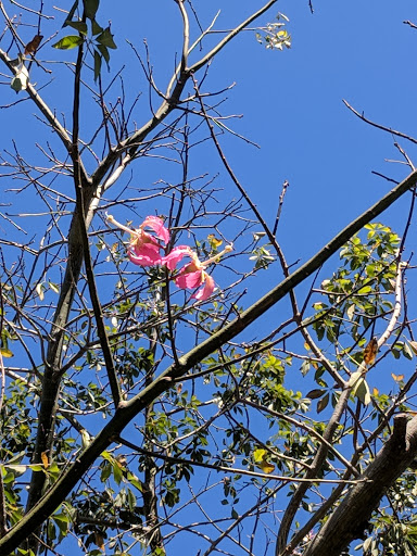 Museum «Albin Polasek Museum & Sculpture Gardens», reviews and photos, 633 Osceola Ave, Winter Park, FL 32789, USA