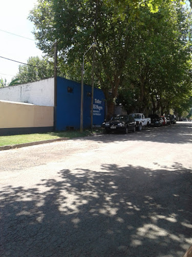 Opiniones de Taller El Negro Mecanica Y Electricidad en Tacuarembó - Taller de reparación de automóviles