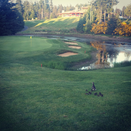 Golf Course «Gold Mountain Golf Club», reviews and photos, 7263 W Belfair Valley Rd, Bremerton, WA 98310, USA