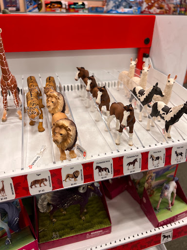 Book Store «Barnes & Noble», reviews and photos, 4000 Jericho Turnpike, East Northport, NY 11731, USA