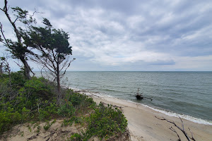 Cape Charles Natural Area Preserve