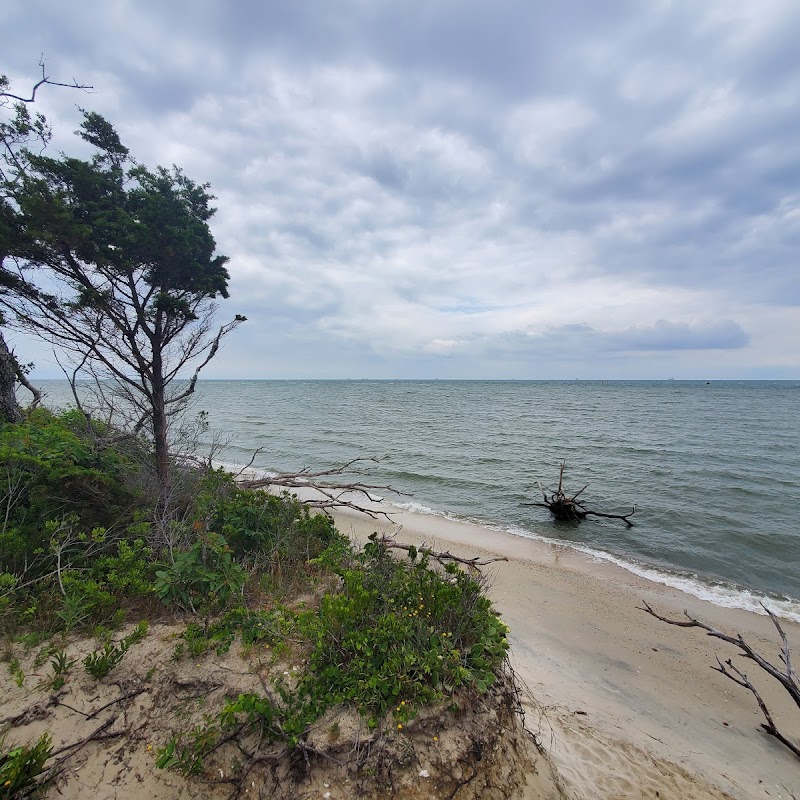 Cape Charles Natural Area Preserve