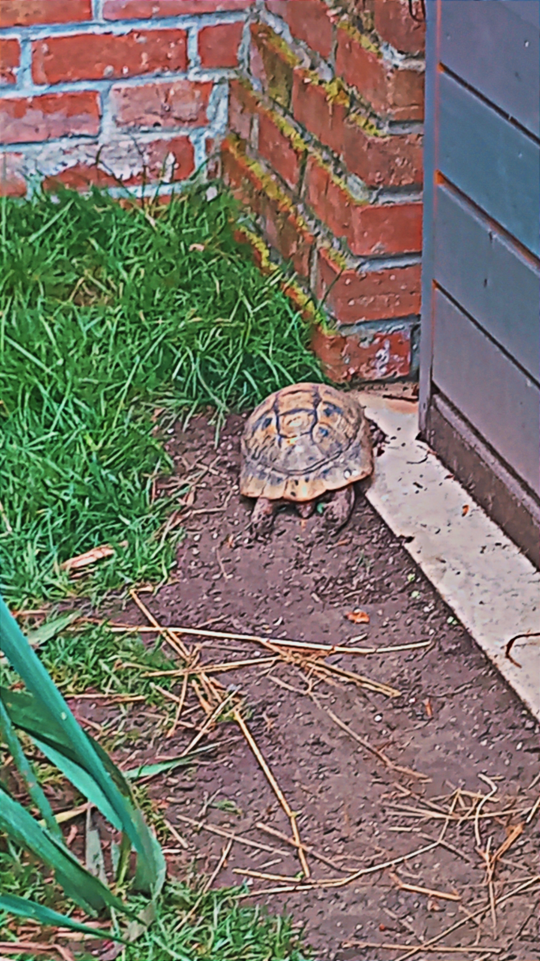 Photo n° 6 de l'avis de Corinne.h fait le 02/09/2023 à 09:38