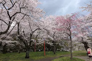 Morioka-jo Castle Site Park (Iwate Park) image