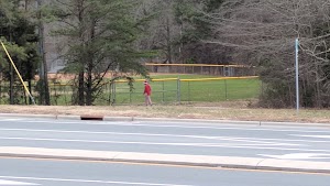 Cedar Falls Park - photo 56
