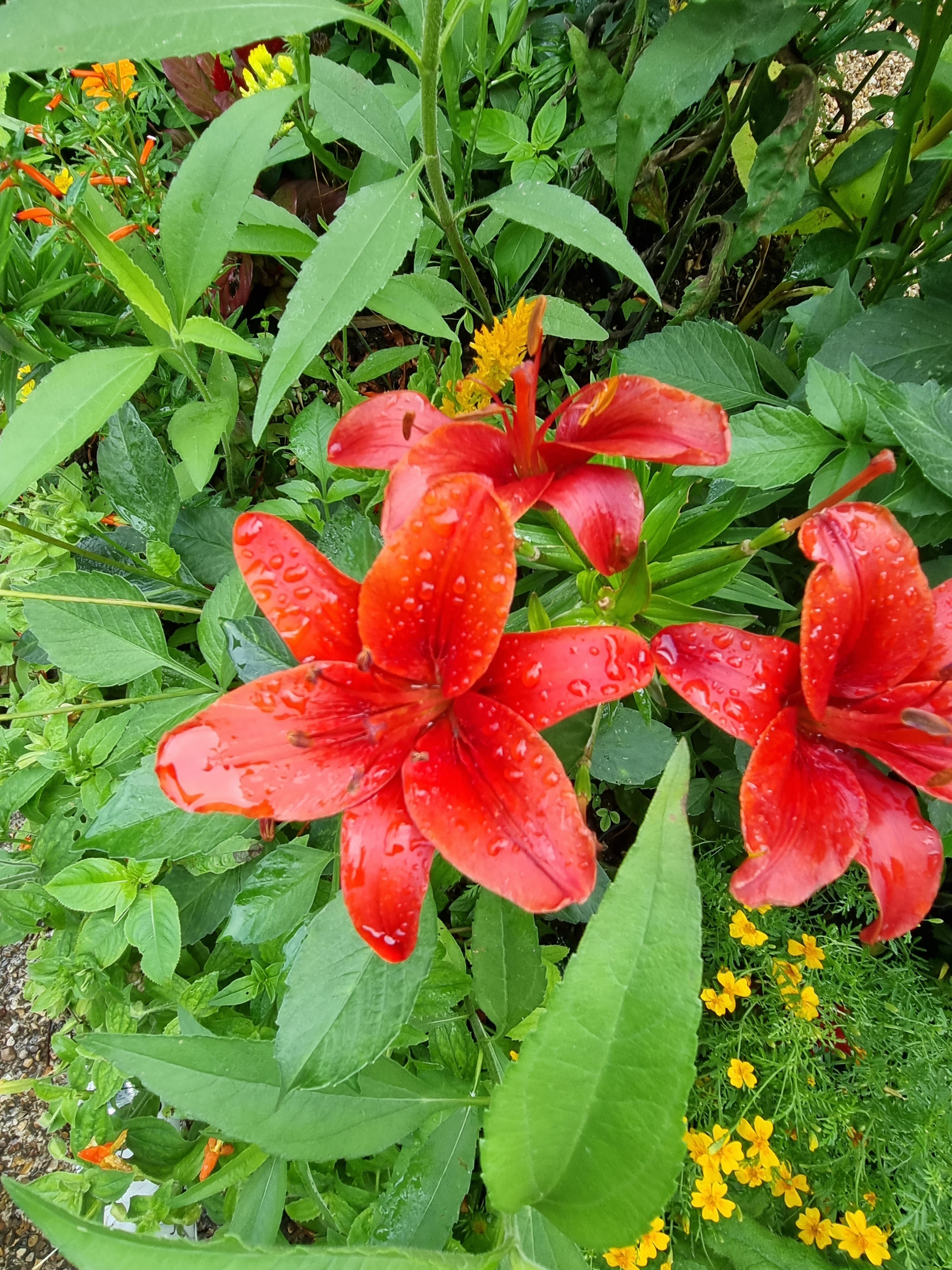 Photo n° 4 de l'avis de Audrey.a fait le 25/07/2023 à 07:20