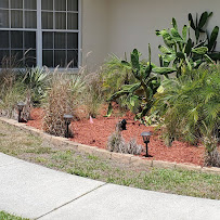 All Smiles Lawn Care - Photo 8 - Car repair in , Spring Hill