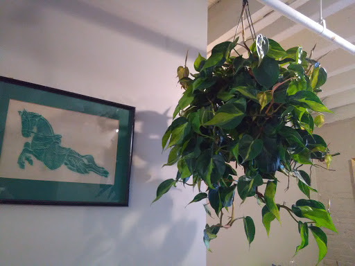 Florist «Mother Nature Plant Emporium», reviews and photos, 712 Elmwood Ave, Buffalo, NY 14222, USA