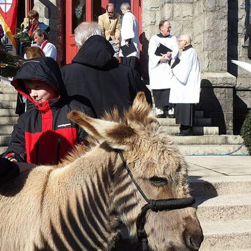 Pony Ride Service «Animals Unlimited LLC est 1996 travelling petting zoo/pony rides/travelling exotic animal programs .», reviews and photos, 16805 Mountain Rd, Montpelier, VA 23192, USA