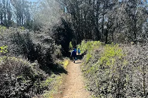 Summit Loop Trail, San Bruno Mountain image