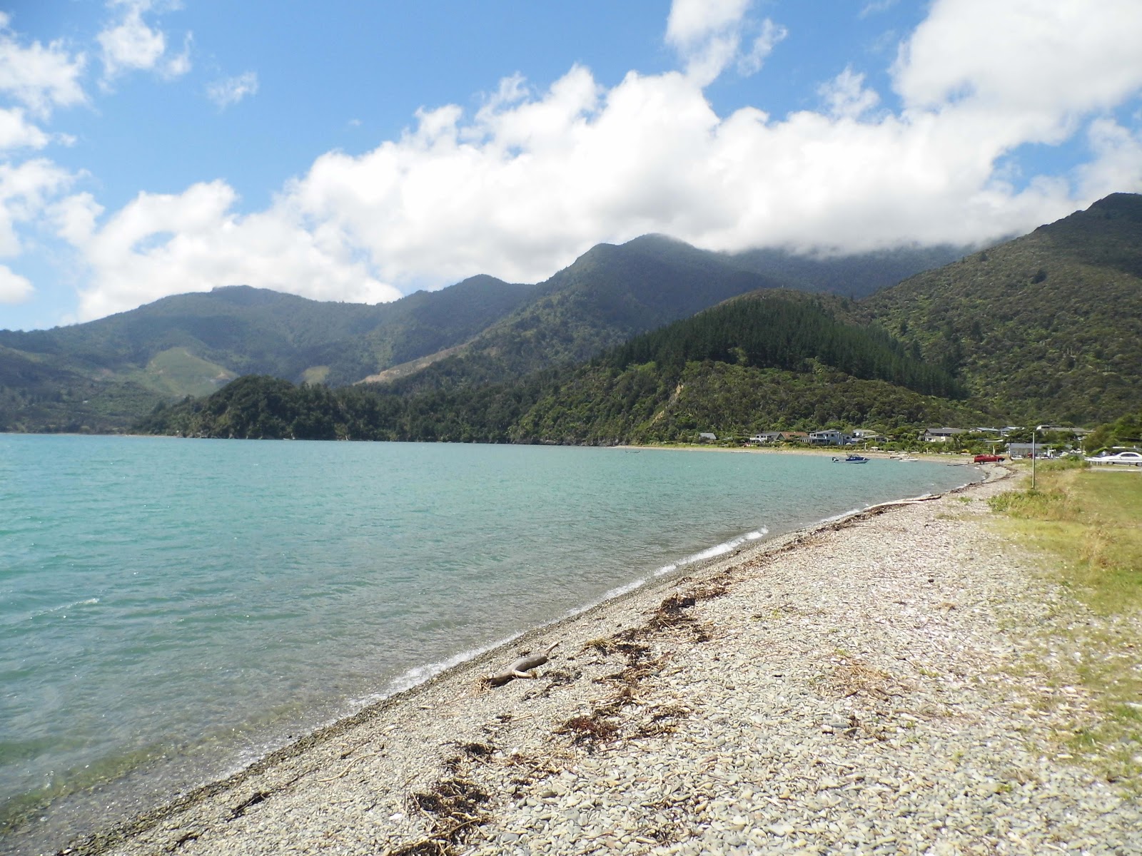 Foto de Okiwi Bay Beach - lugar popular entre os apreciadores de relaxamento
