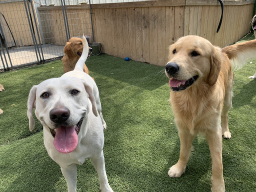 Pet Boarding Service «All About Pets», reviews and photos, 130 Arrow Rd #102, Hilton Head Island, SC 29928, USA