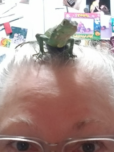 Pet Store «Everything Pets», reviews and photos, 1506 Altamont Ave, Schenectady, NY 12303, USA