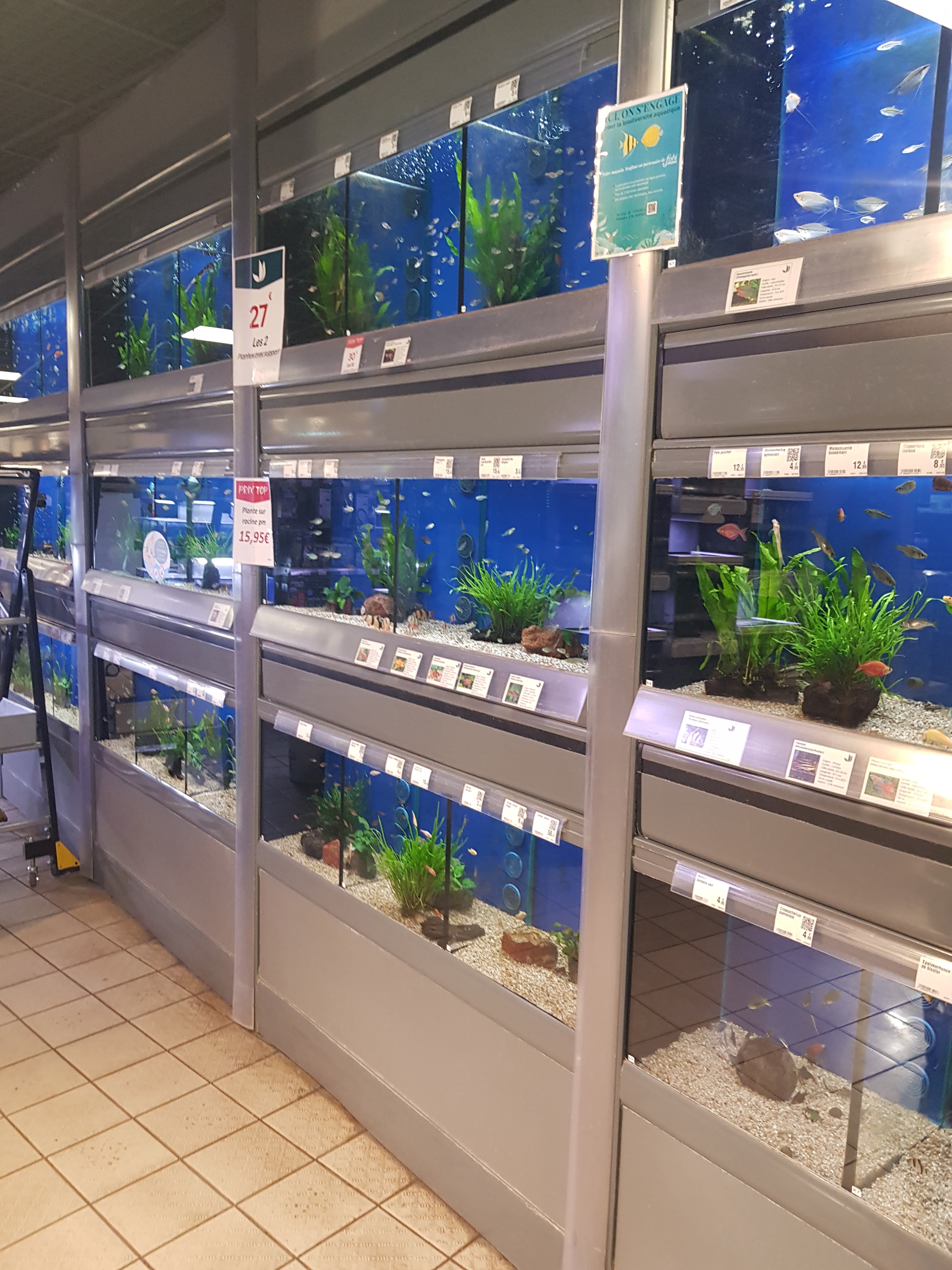 Photo n° 1 de l'avis de Stéphane.A fait le 18/06/2019 à 03:19
