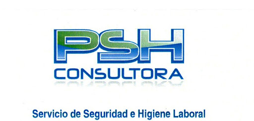 PSH Consultora, SEGURIDAD HIGIENE Y MEDIO AMBIENTE
