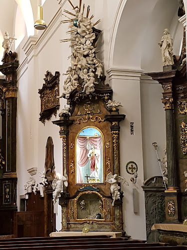 Kostel svaté Maří Magdaleny v Brně - Brno
