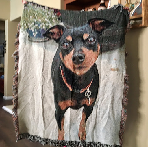 Gift Shop «The Memories Place», reviews and photos, 148 Westville Dr, Conway, SC 29526, USA