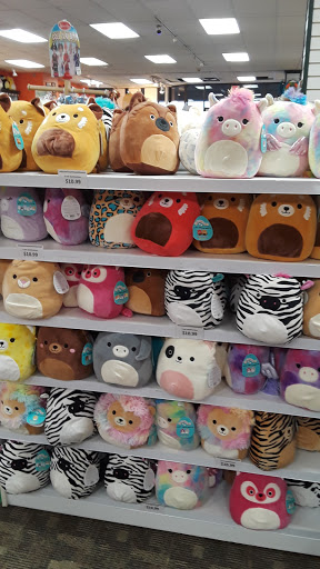 Toy Store «Learning Express», reviews and photos, 2465 W Stadium Blvd, Ann Arbor, MI 48103, USA