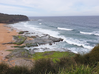 Turimetta Headland