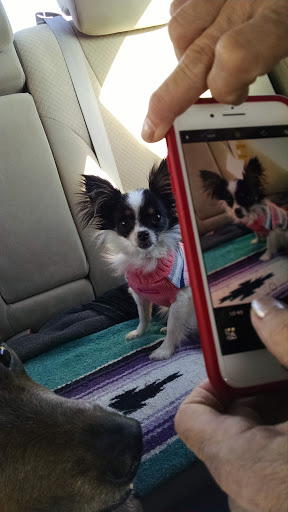 Pet Supply Store «Petco Animal Supplies», reviews and photos, 7040 Valley Creek Plaza, Woodbury, MN 55125, USA