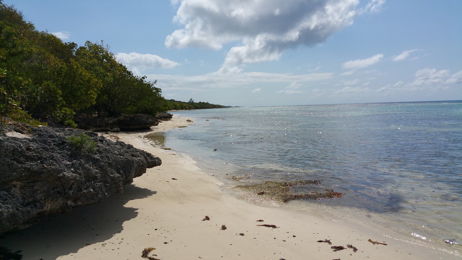 Anse du Mancenillier Beach photo #9